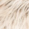 lightchampagne rooted