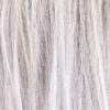 silverblond rooted